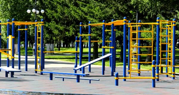 ### Street Workout Unleashed